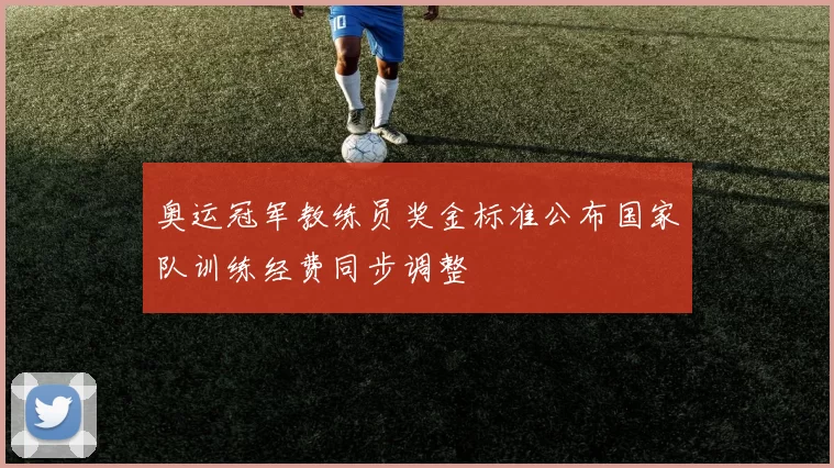 奥运冠军教练员奖金标准公布国家队训练经费同步调整